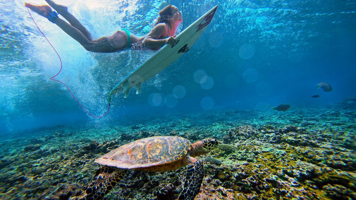 Bali Adventure: Thrilling Activities for Every Traveler