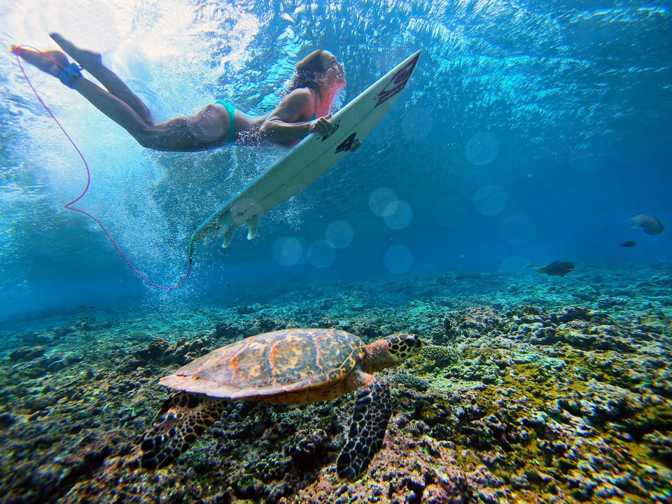 Bali Adventure: Thrilling Activities for Every Traveler