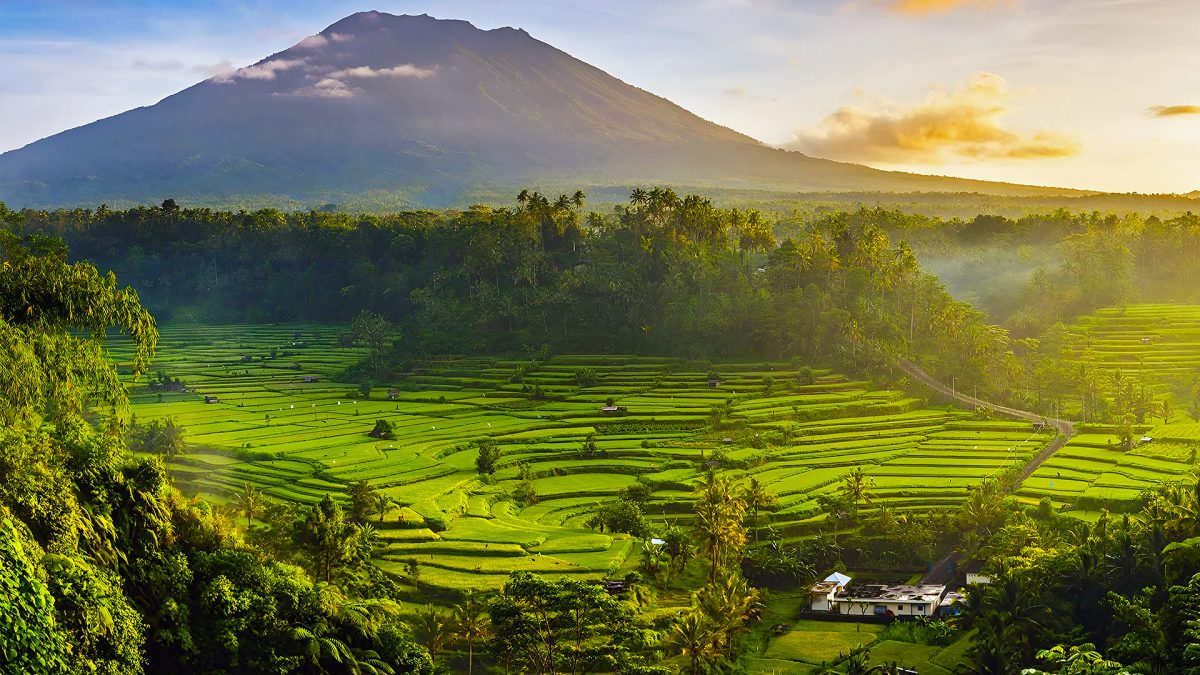 Bali Beyond the Beach: Exploring the Island's Interior