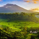 Bali Beyond the Beach: Exploring the Island's Interior