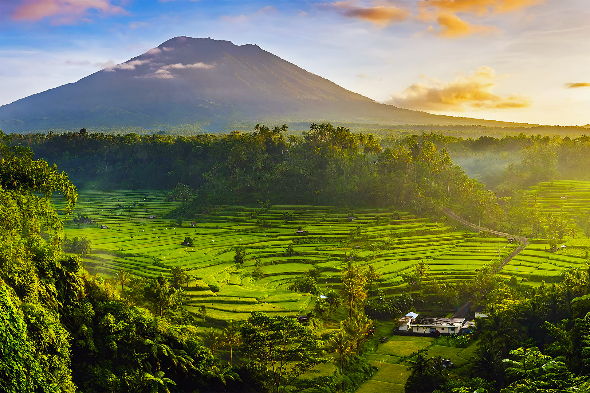 Bali Beyond the Beach: Exploring the Island's Interior