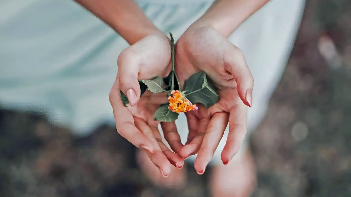 Bali Spiritual Healers: Traditional Medicine and Therapies