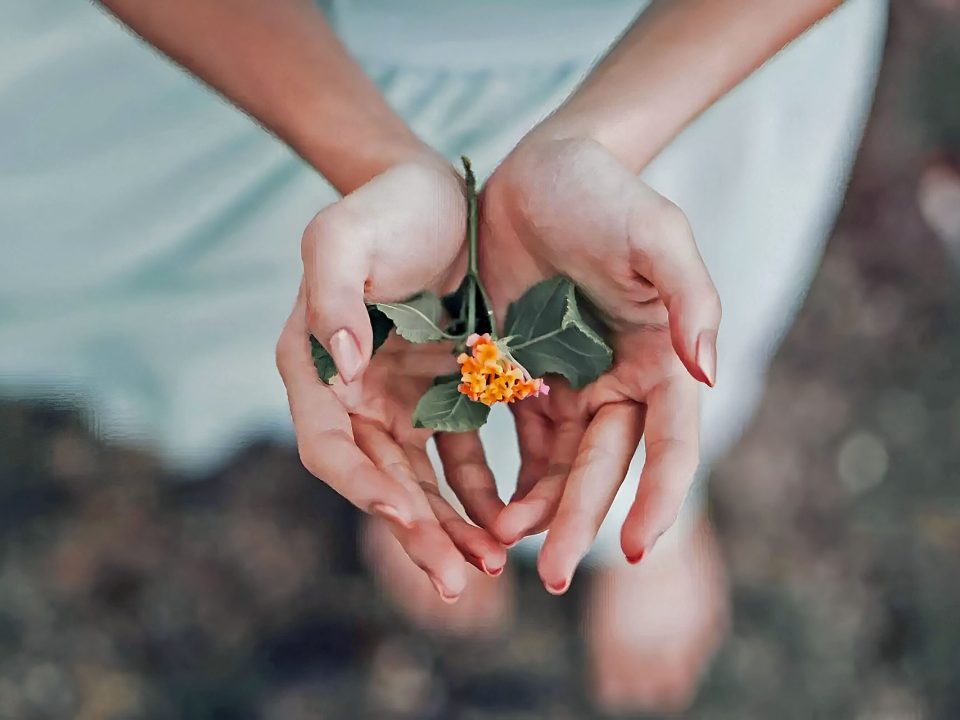 Bali Spiritual Healers: Traditional Medicine and Therapies