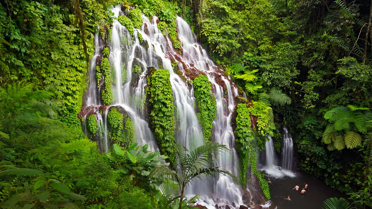 Best Bali Waterfalls: Island’s Most Spectacular Cascades Revealed