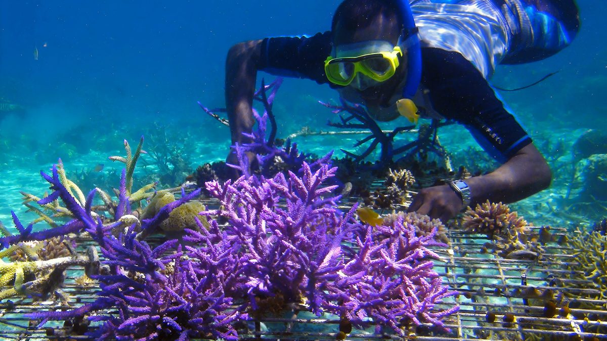 Eco-Travel in Bali: Tips for Responsible Explorers