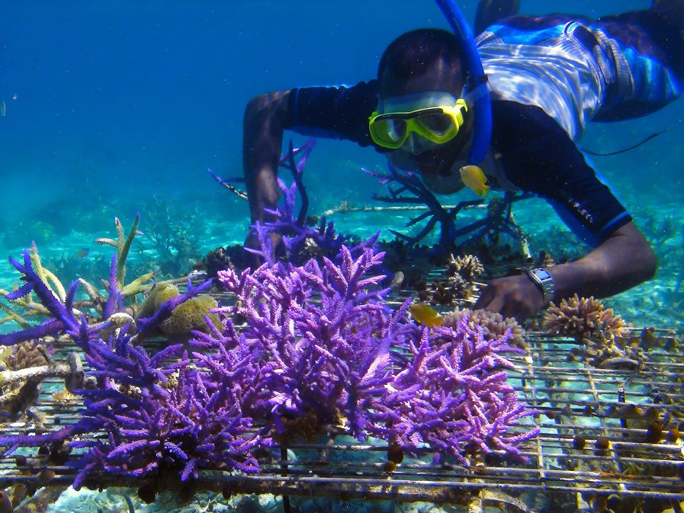 Eco-Travel in Bali: Tips for Responsible Explorers