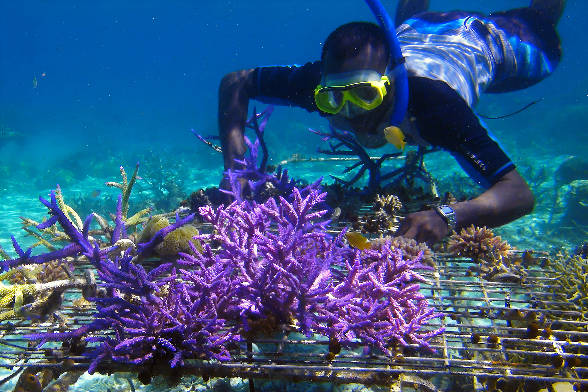 Eco-Travel in Bali: Tips for Responsible Explorers