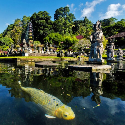 Tirta Gangga Water Palace Bali