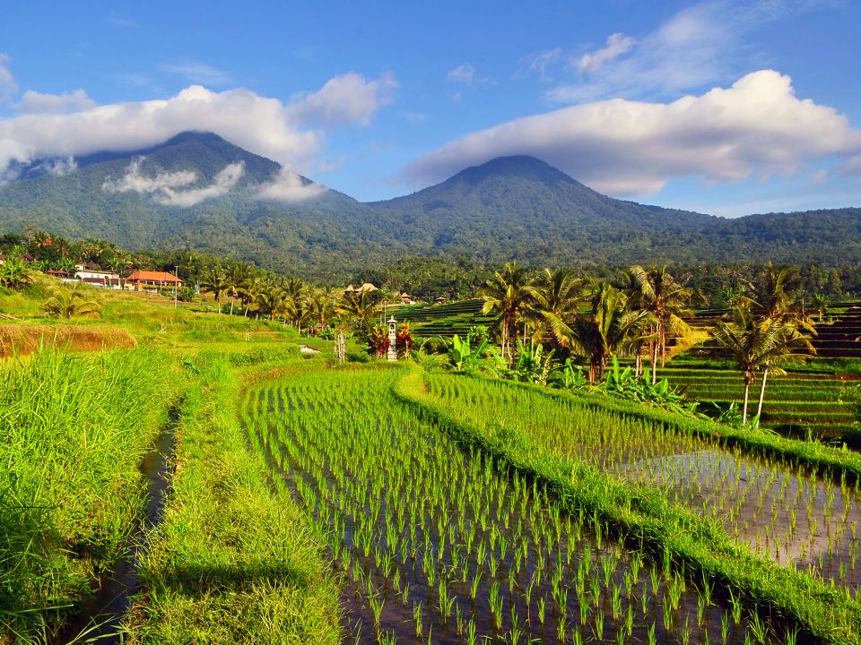 Travel Guide to Jatiluwih: Exploring Bali’s Heritage Rice Terraces