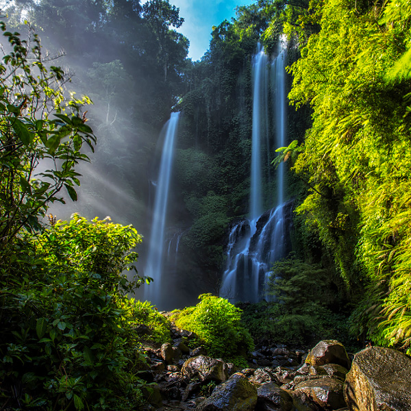 Bali Hidden Gem Tours Visiting Sekumpul Waterfall