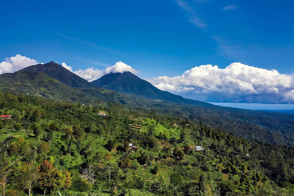 Munduk Highland Villas Bali Tours