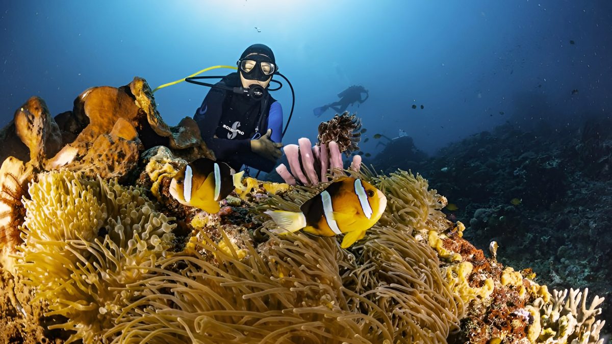 Bali Snorkeling and Diving Adventures