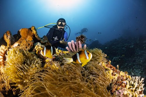 Bali Snorkeling and Diving Adventures