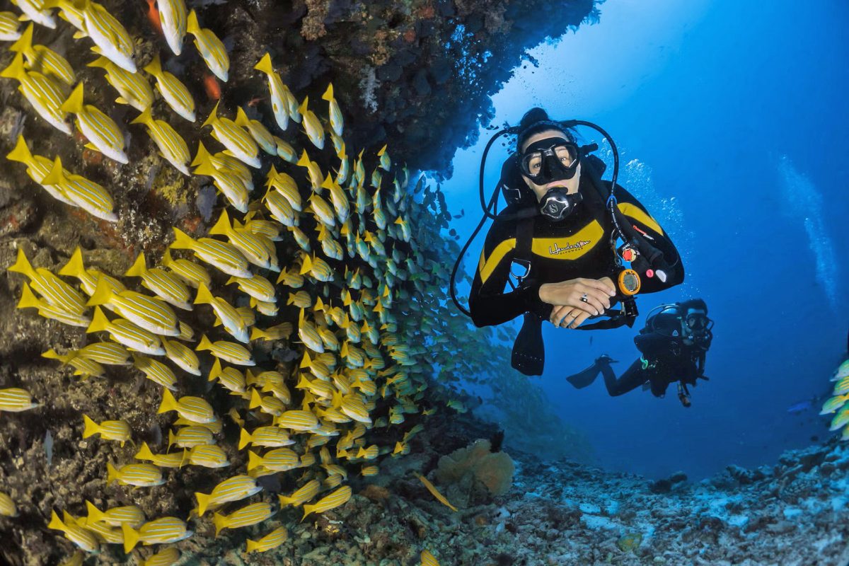 Guide to Diving in Amed Bali
