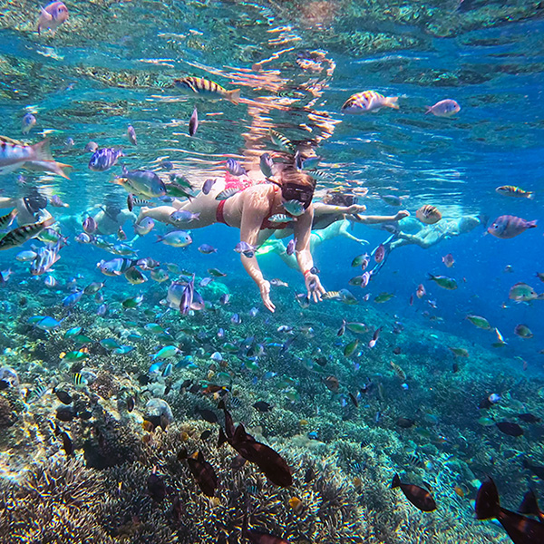 Snorkeling at Crystal Bay Nusa Penida Bali