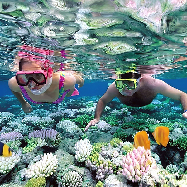 Snorkeling at Gamat Bay Nusa Penida Bali