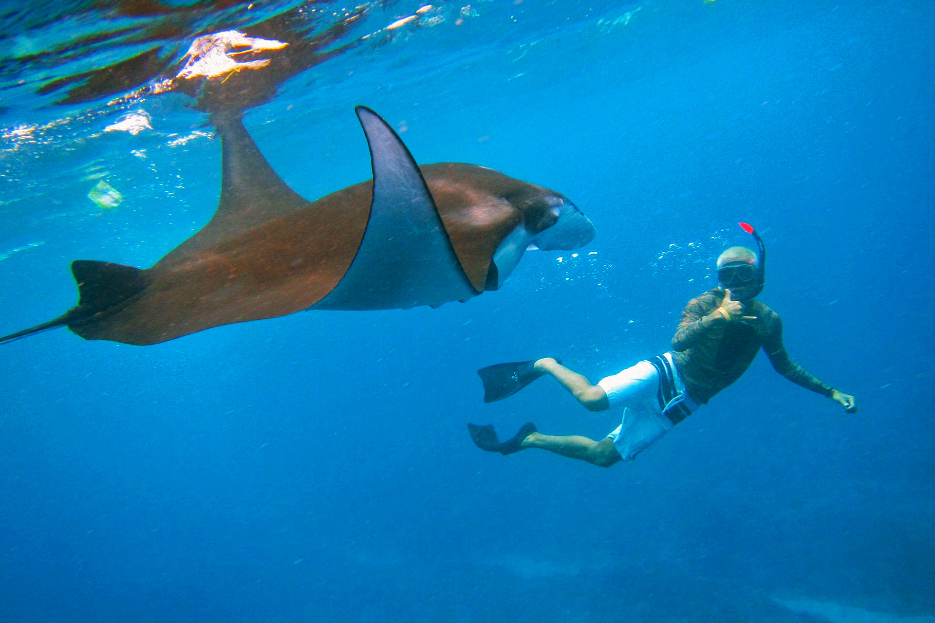 Snorkeling in Nusa Penida takes you to Manta Bay, Crystal Bay & more—explore Bali’s best reefs, manta rays & coral gardens.