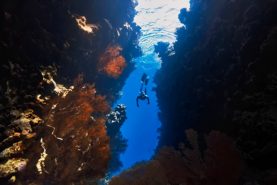 Snorkeling at Wall Point Nusa Penida Bali