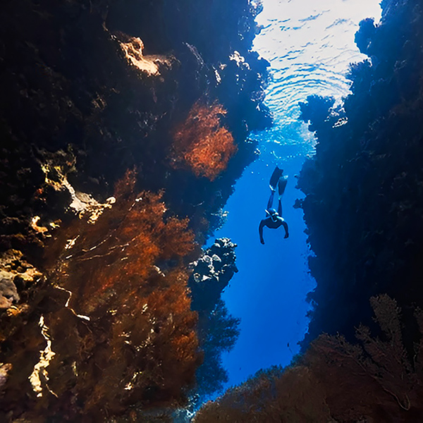 Snorkeling at Wall Point Nusa Penida Bali