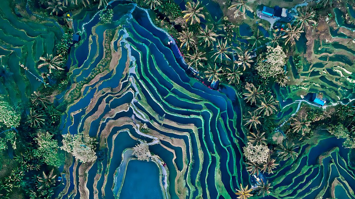 Ubud & Central Bali Travel Guide – Culture, Nature & Highlands