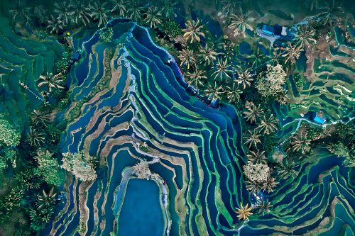 Ubud & Central Bali Travel Guide – Culture, Nature & Highlands