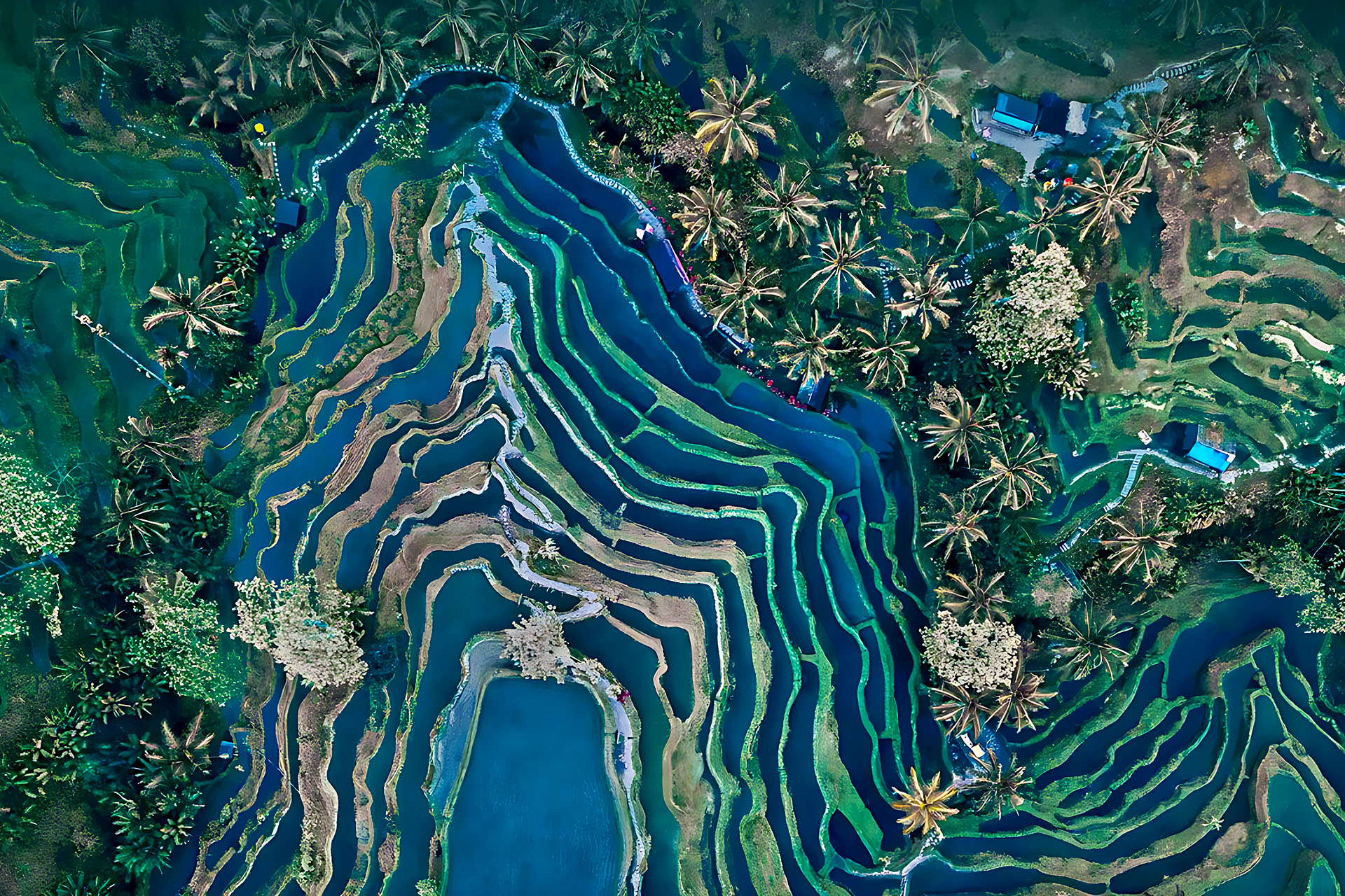 Ubud & Central Bali Travel Guide – Culture, Nature & Highlands