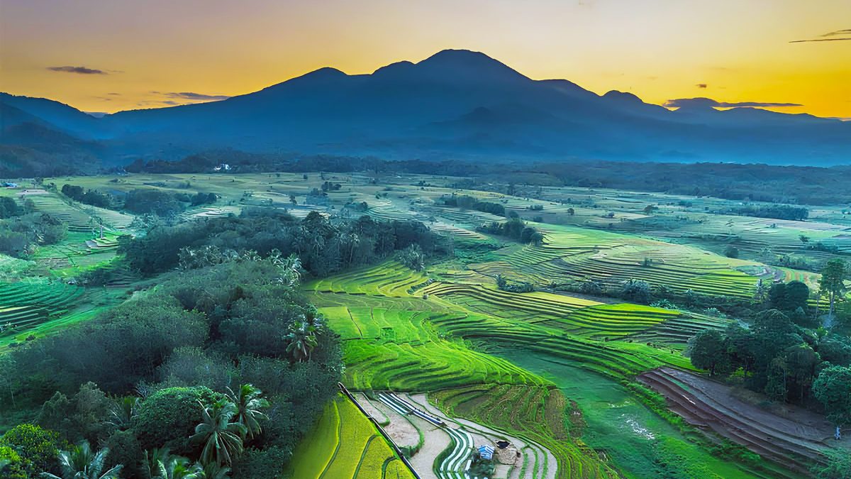 Best Day Trips from Ubud – Temples, Rice Terraces & More