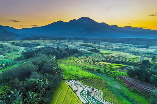Best Day Trips from Ubud – Temples, Rice Terraces & More