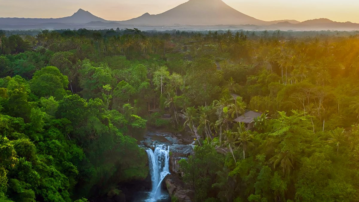 Waterfalls Near Ubud Jungle Escapes Swimming Spots