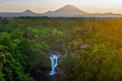 Waterfalls Near Ubud Jungle Escapes Swimming Spots