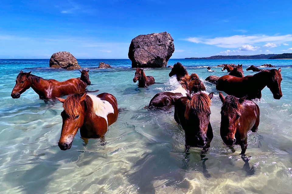 Sumba Travel Guide & Tours