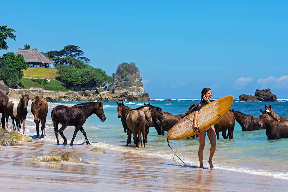 Surfing in Sumba on Nihiwtu Beach