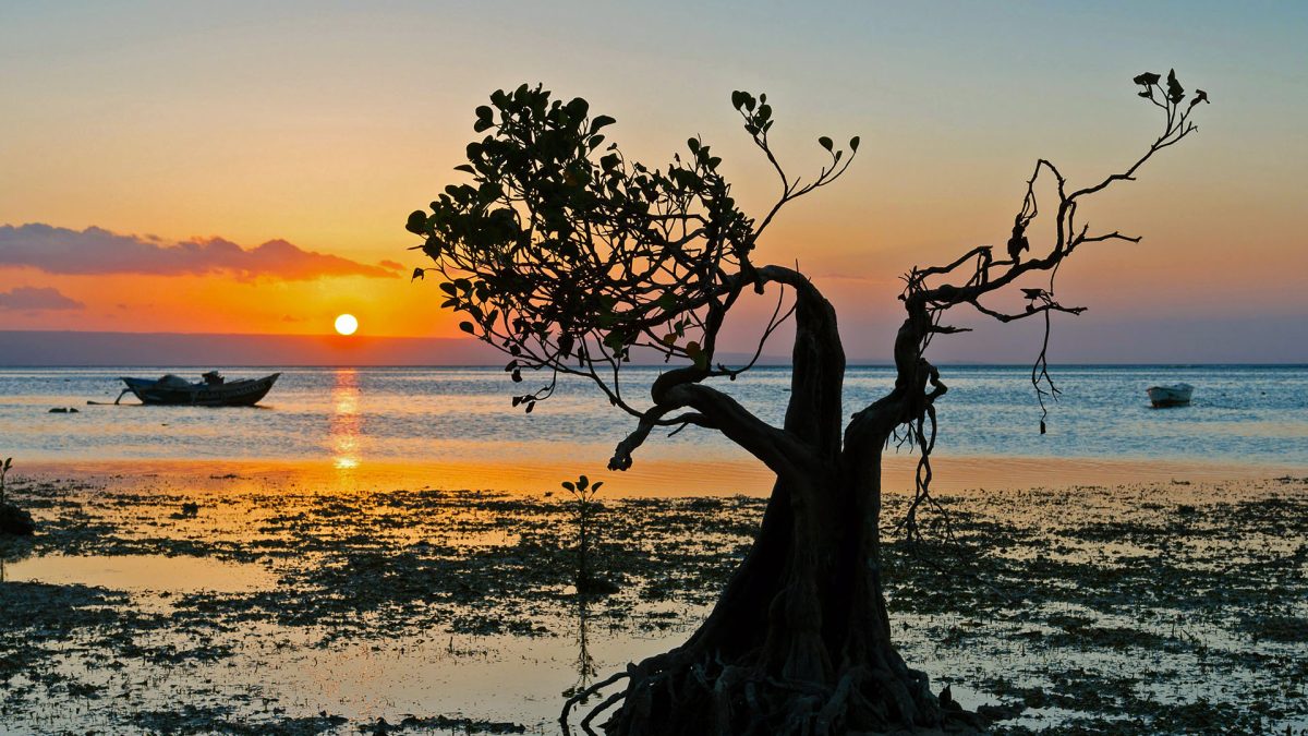 Top Things to Do in Sumba | Watching Suset at Walakiri Beach