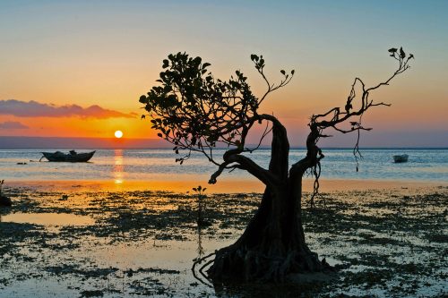 Top Things to Do in Sumba | Watching Suset at Walakiri Beach