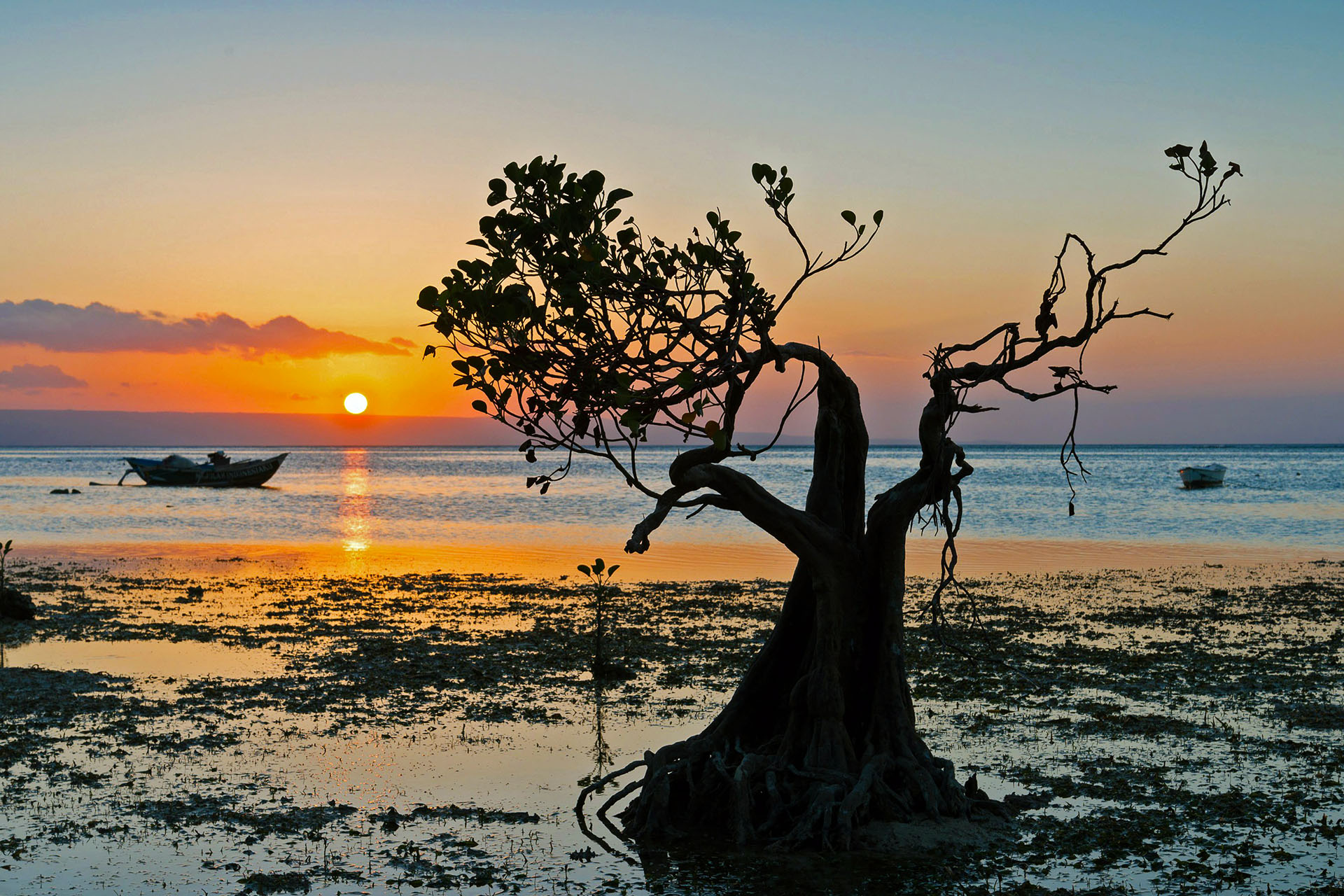 Top Things to Do in Sumba | Watching Suset at Walakiri Beach