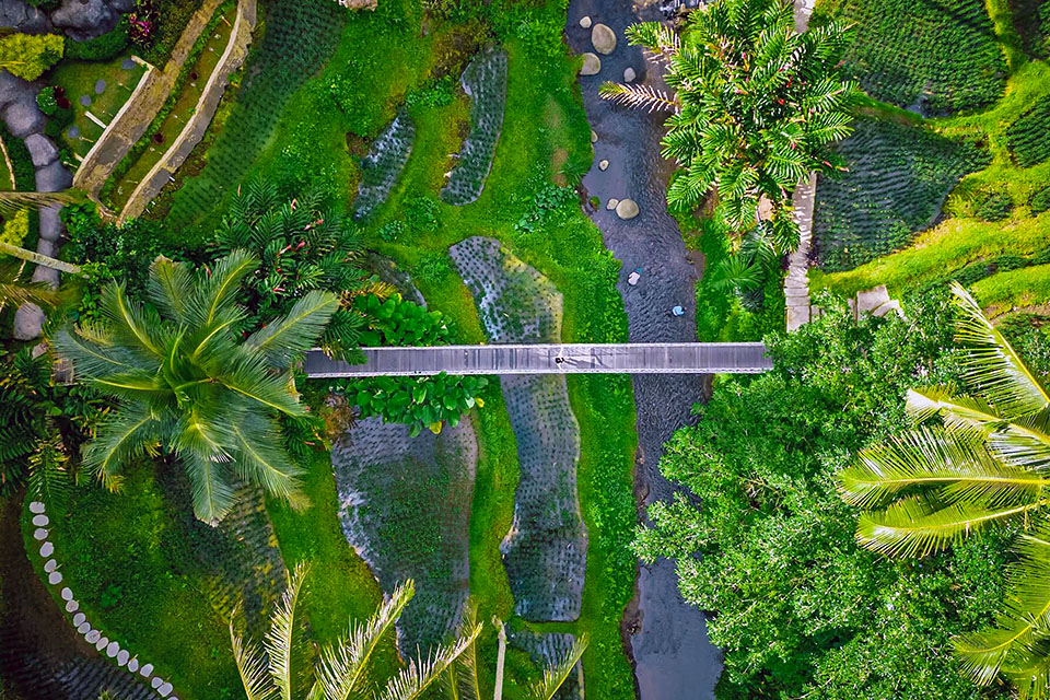 Ubud Nature Perfect for Bali Adventure Activities