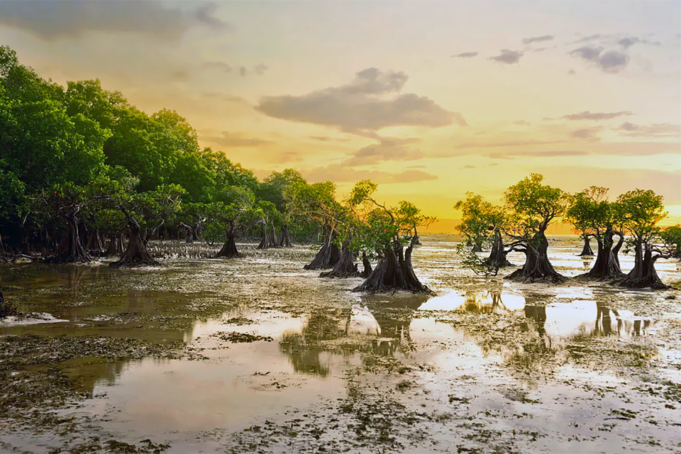 Sumba Stays near Walakiri Beach to Enjoy Sunet Panorama