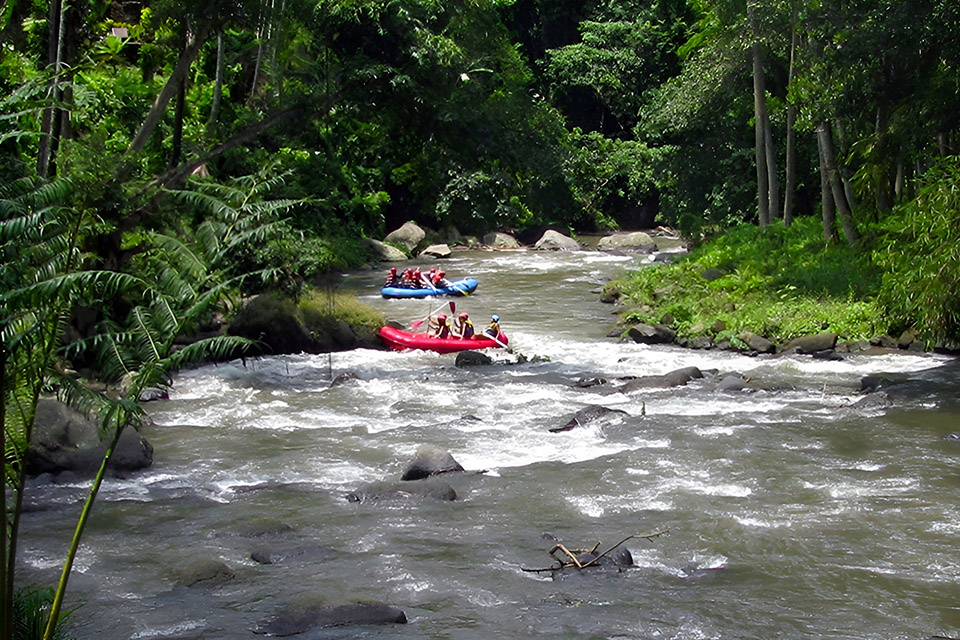 Best Rafting Rivers in Ubud - Ayung River