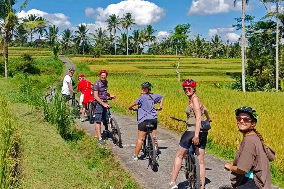 Cycling from Volcano to Rice Fields in Ubud Bali