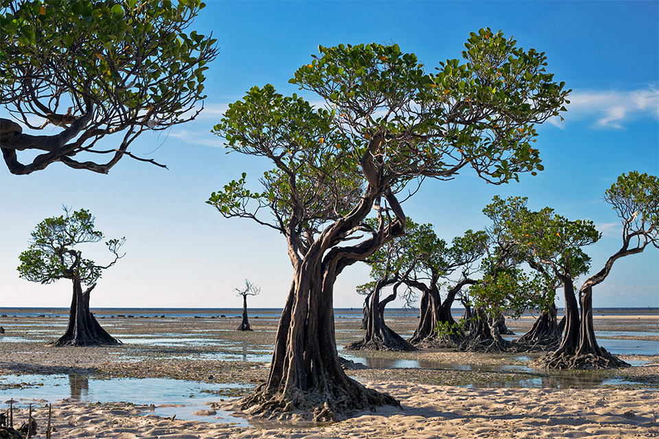 Sumba Road Trip Itinerary Exploring Hidden Gems and Beaches