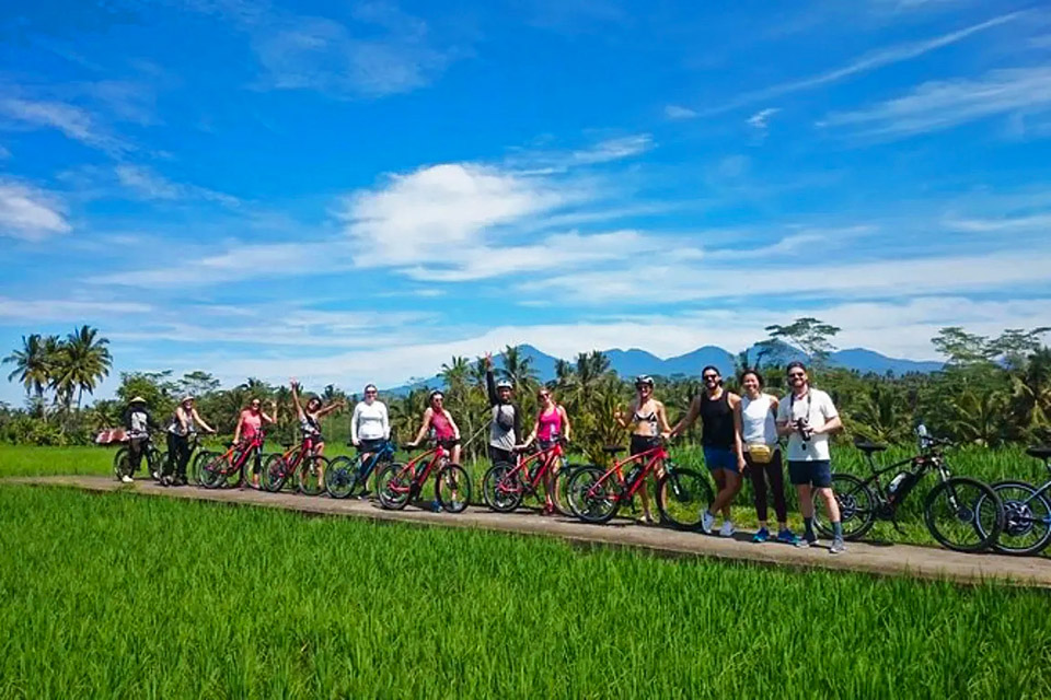 Ubud Adventure Tour Cycling Across Rice Fields