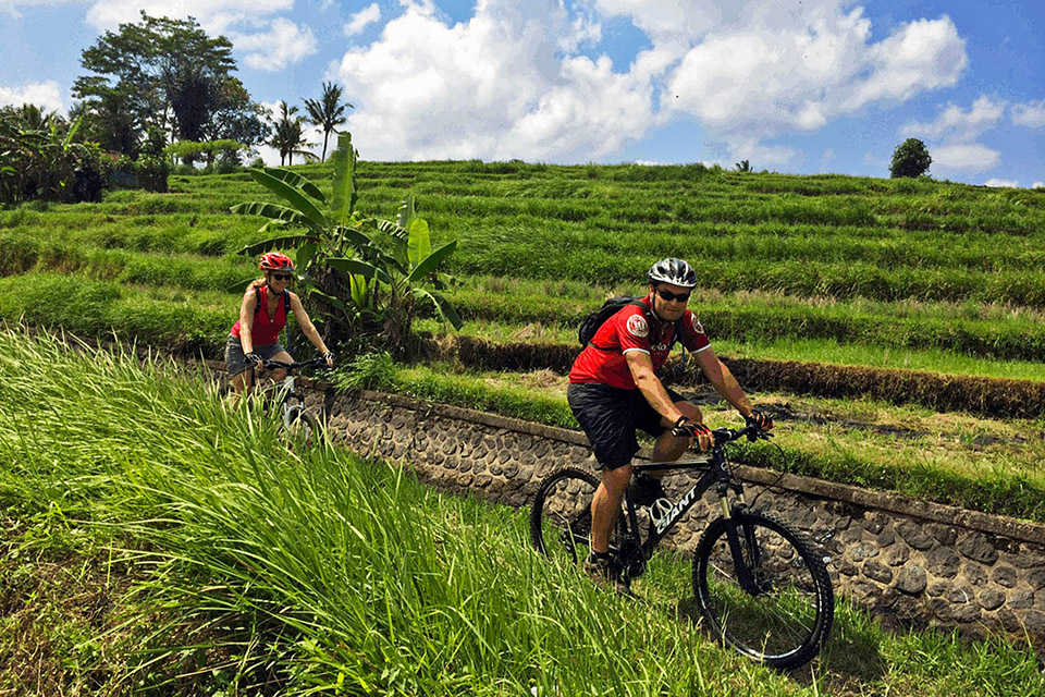 Ubud Cycling and Rafting Tour Package