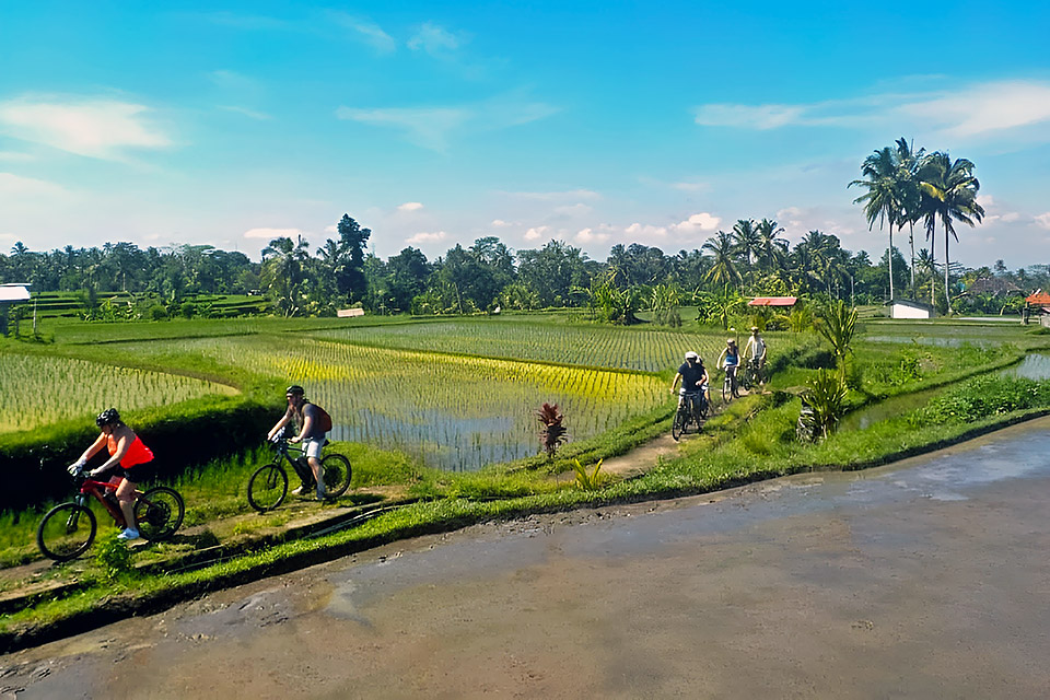 Ubud Cycling and Waterfall Tour Package