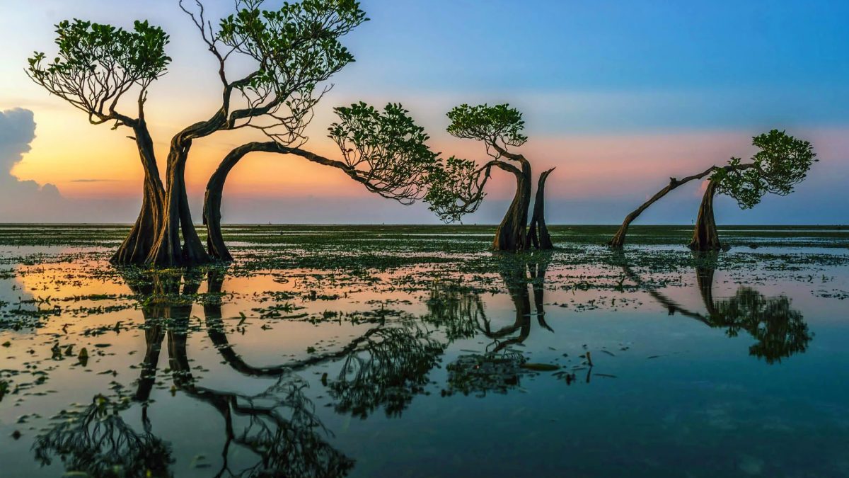 Best Airport in Sumba