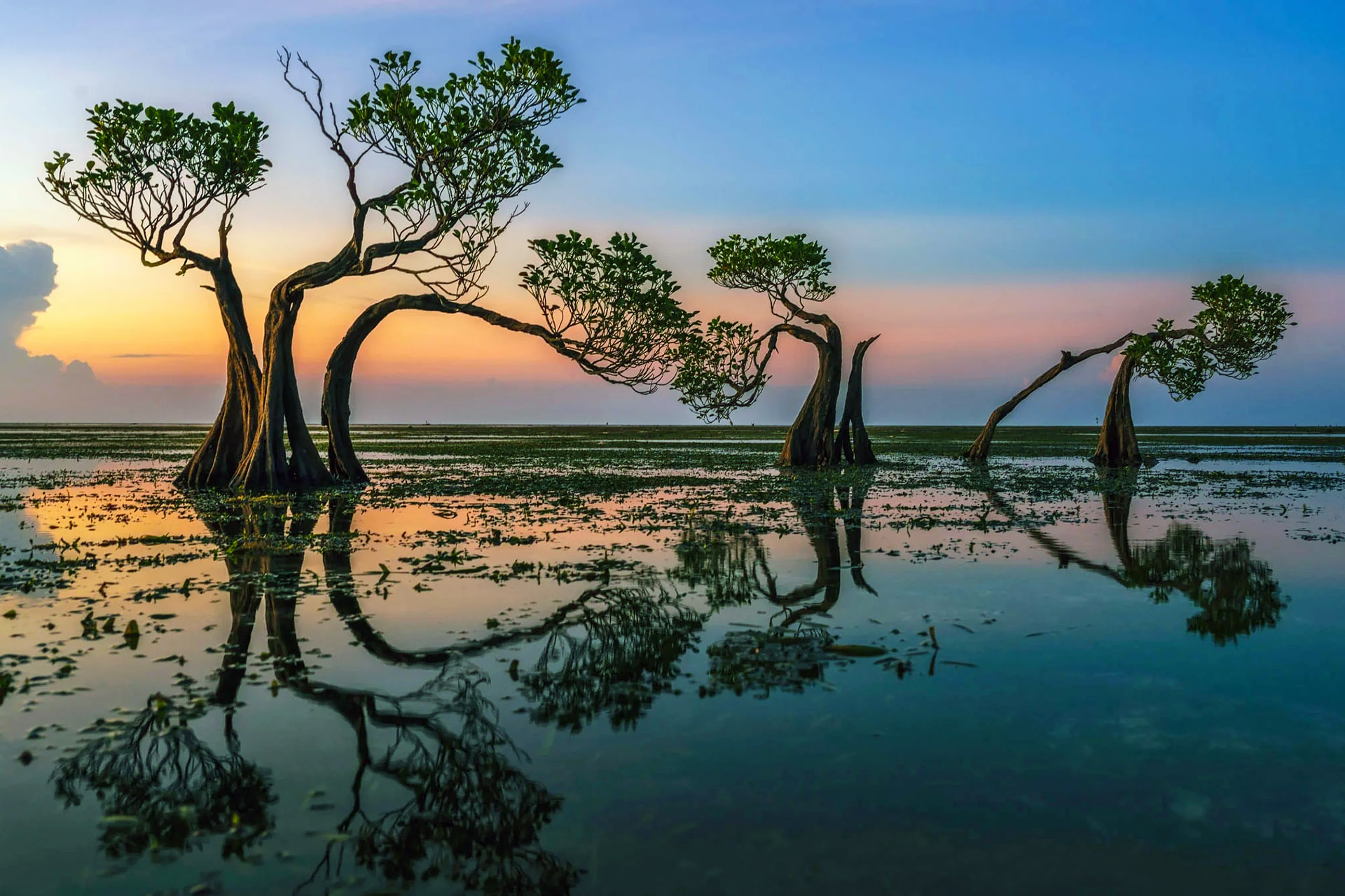 Best Airport in Sumba