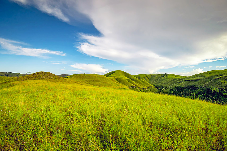 Book 3-Day Tour to Sumba Visiting Tanah Daru Savannah