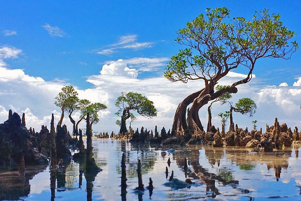 East Sumba Tours - Walakiri Beach