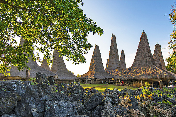 Best Time for Sumba Tour | Ratenggaro Village West Sumba