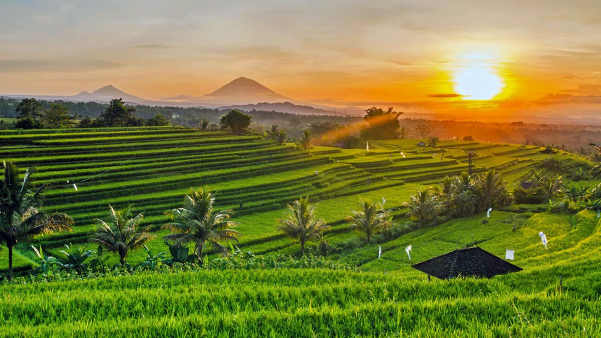 Ubud Itinerary - 3 Days in Ubud