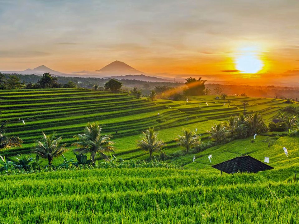 Ubud Itinerary - 3 Days in Ubud
